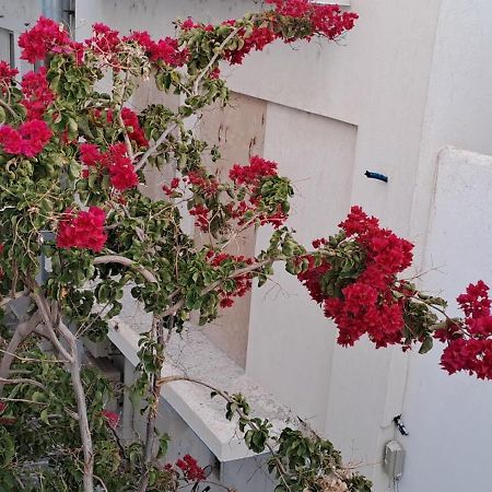 Dinas Inn بوسي لِفاذي المظهر الخارجي الصورة