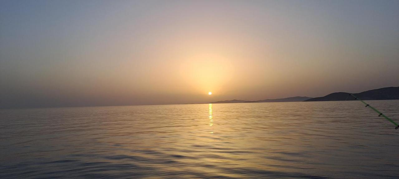 Dinas Inn بوسي لِفاذي المظهر الخارجي الصورة