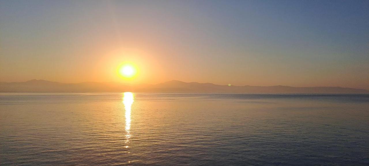 Dinas Inn بوسي لِفاذي المظهر الخارجي الصورة