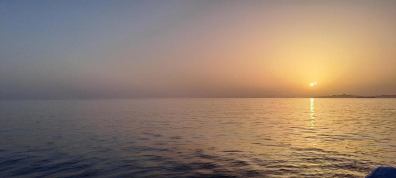 Dinas Inn بوسي لِفاذي المظهر الخارجي الصورة