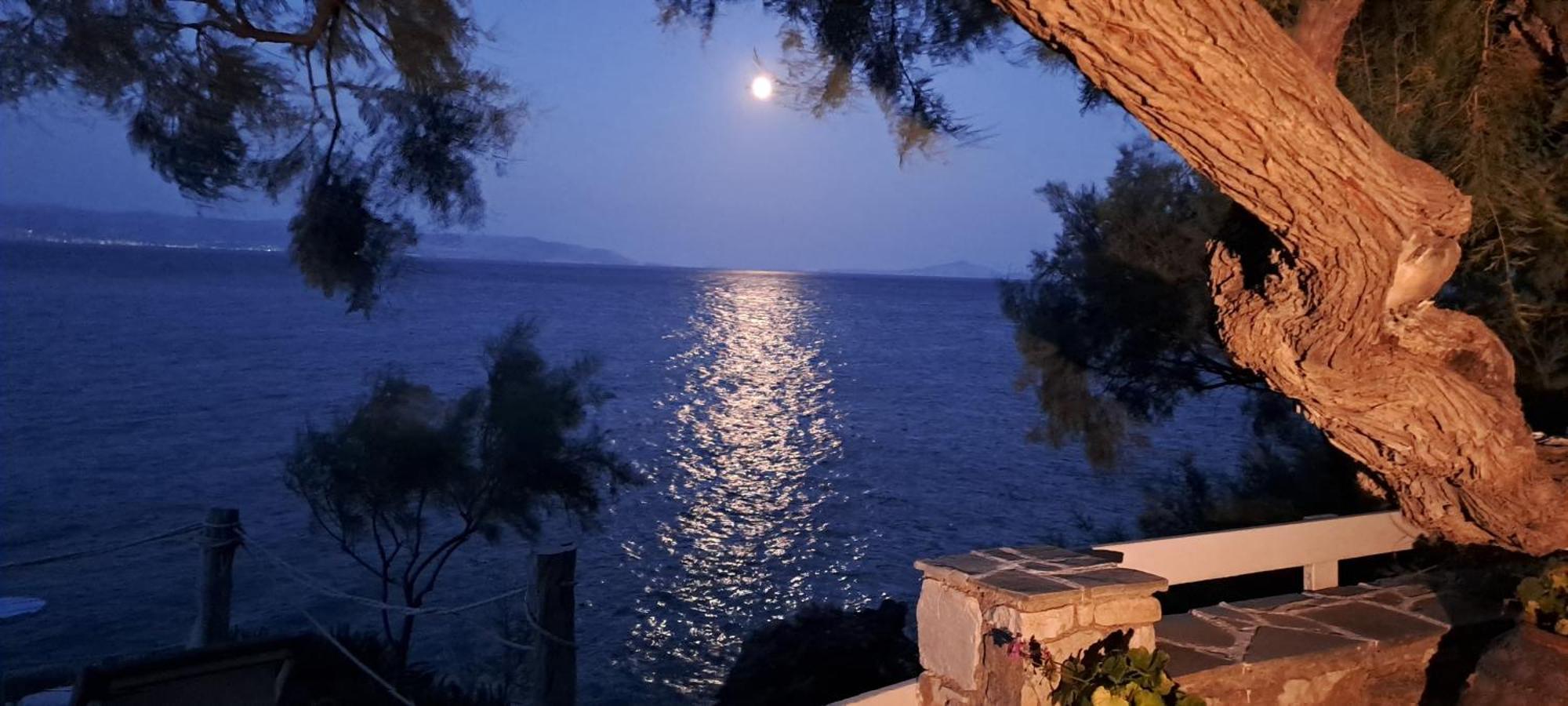 Dinas Inn بوسي لِفاذي المظهر الخارجي الصورة