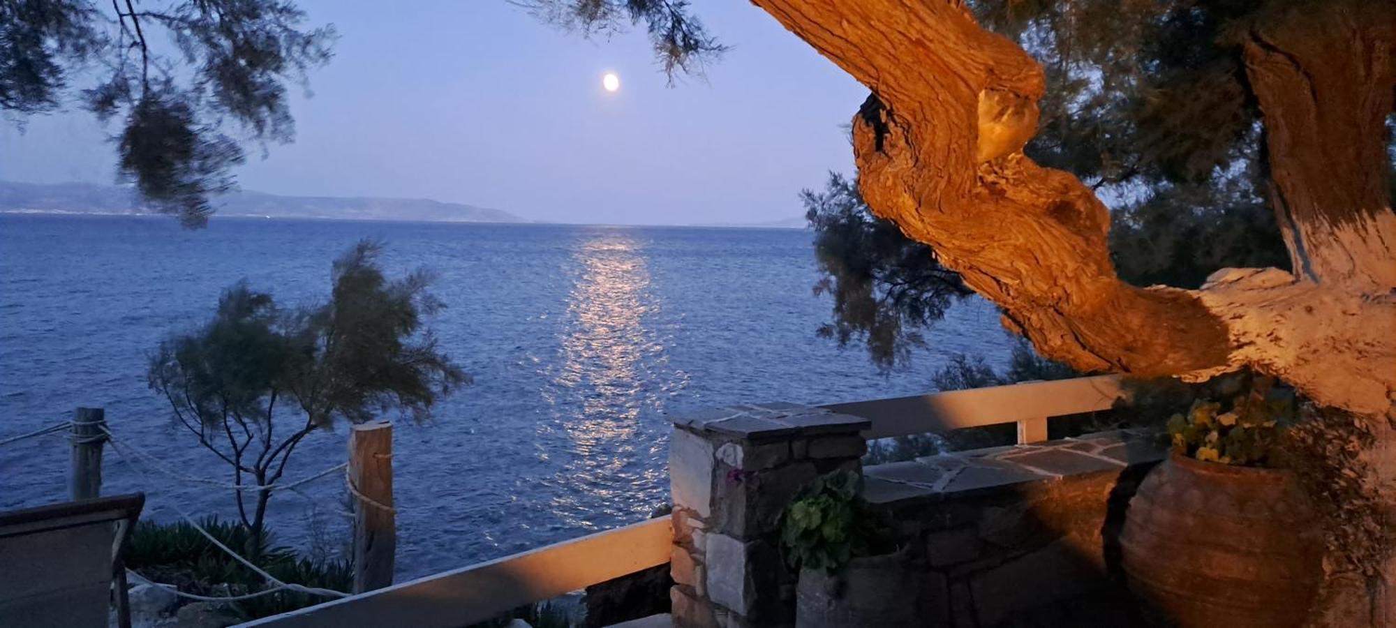 Dinas Inn بوسي لِفاذي المظهر الخارجي الصورة