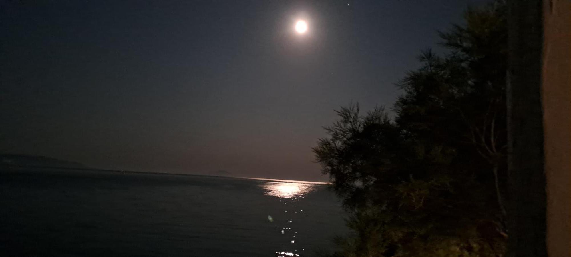 Dinas Inn بوسي لِفاذي المظهر الخارجي الصورة