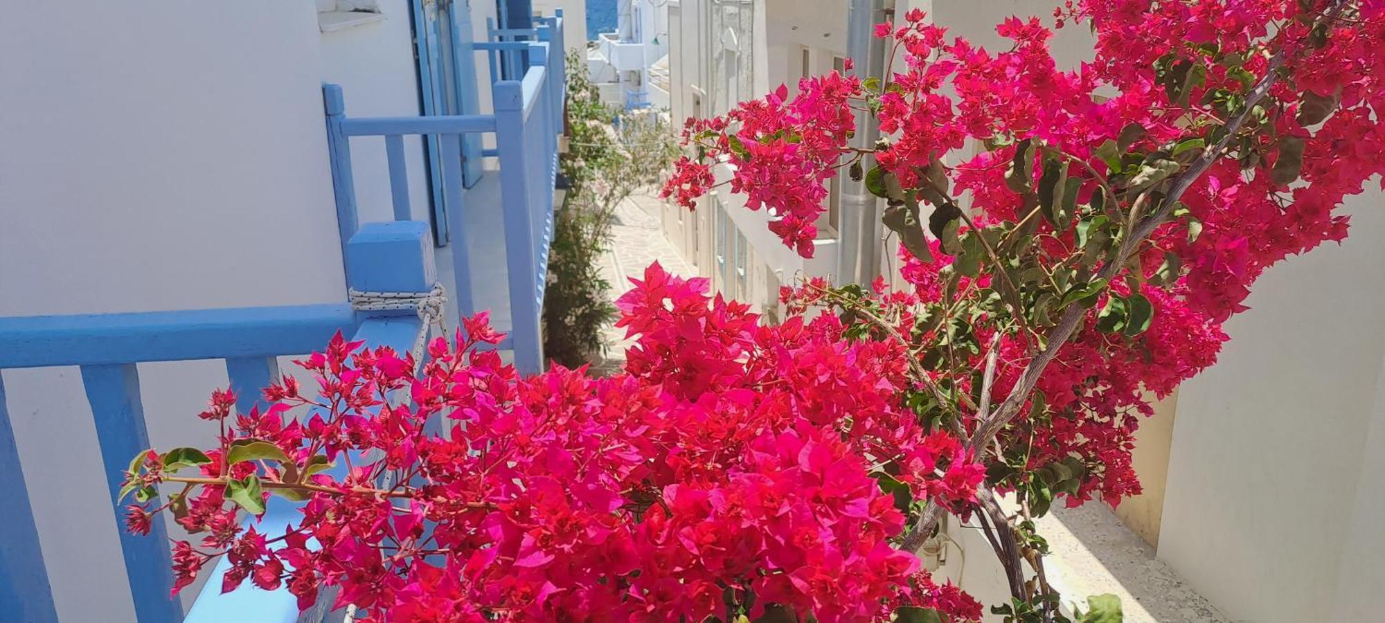 Dinas Inn بوسي لِفاذي المظهر الخارجي الصورة