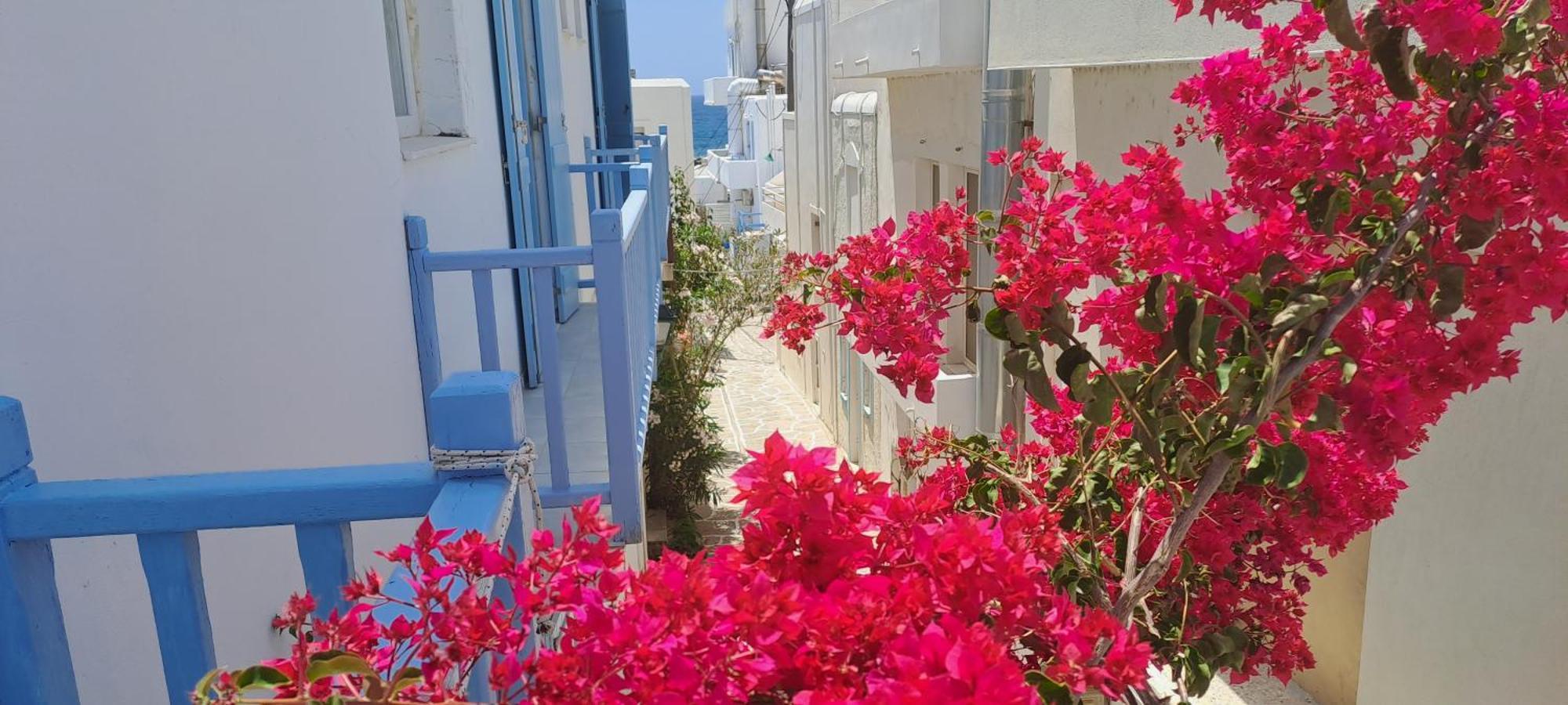 Dinas Inn بوسي لِفاذي المظهر الخارجي الصورة