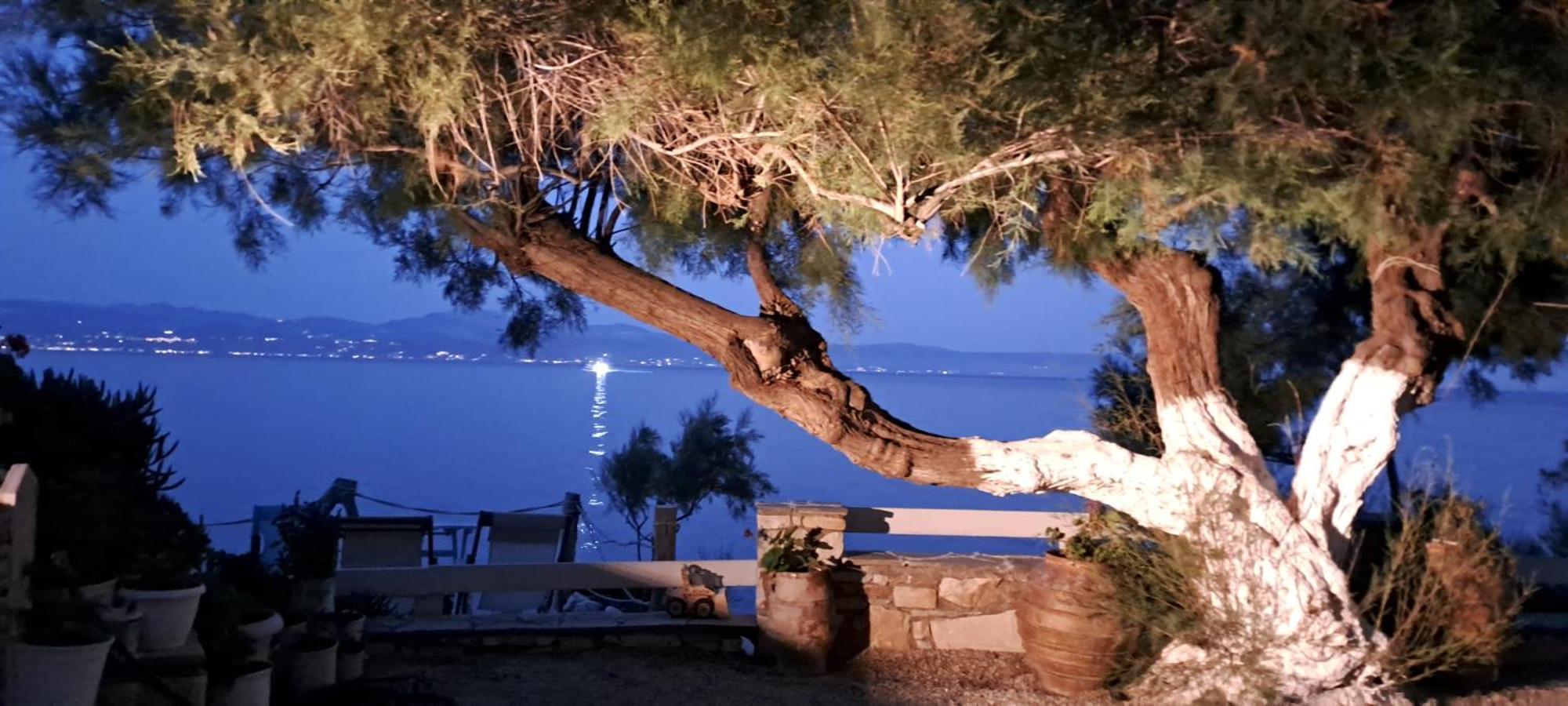 Dinas Inn بوسي لِفاذي المظهر الخارجي الصورة