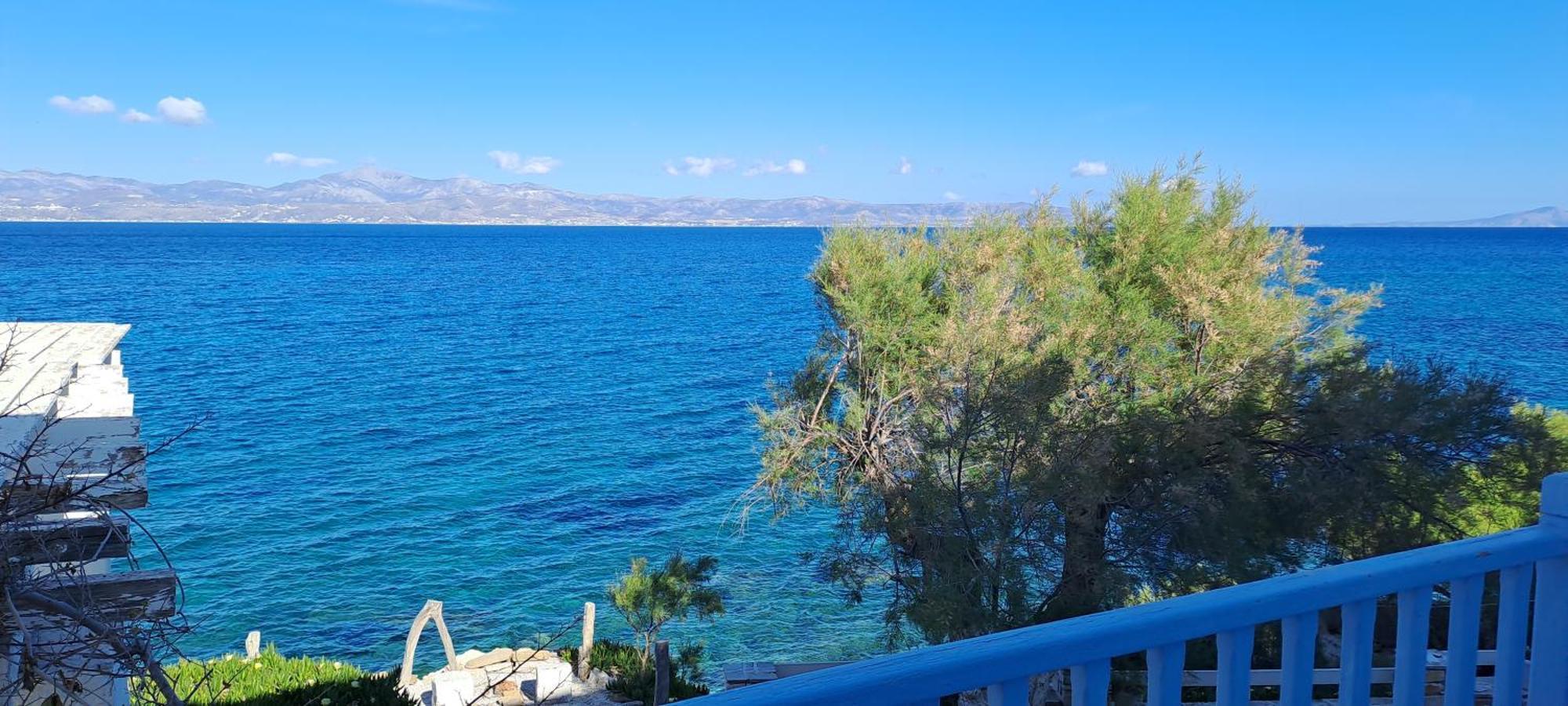 Dinas Inn بوسي لِفاذي المظهر الخارجي الصورة