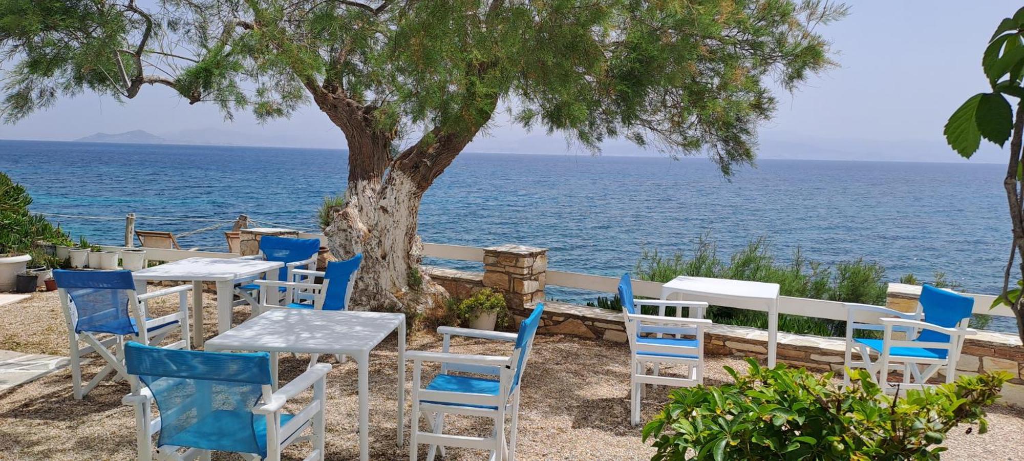 Dinas Inn بوسي لِفاذي المظهر الخارجي الصورة