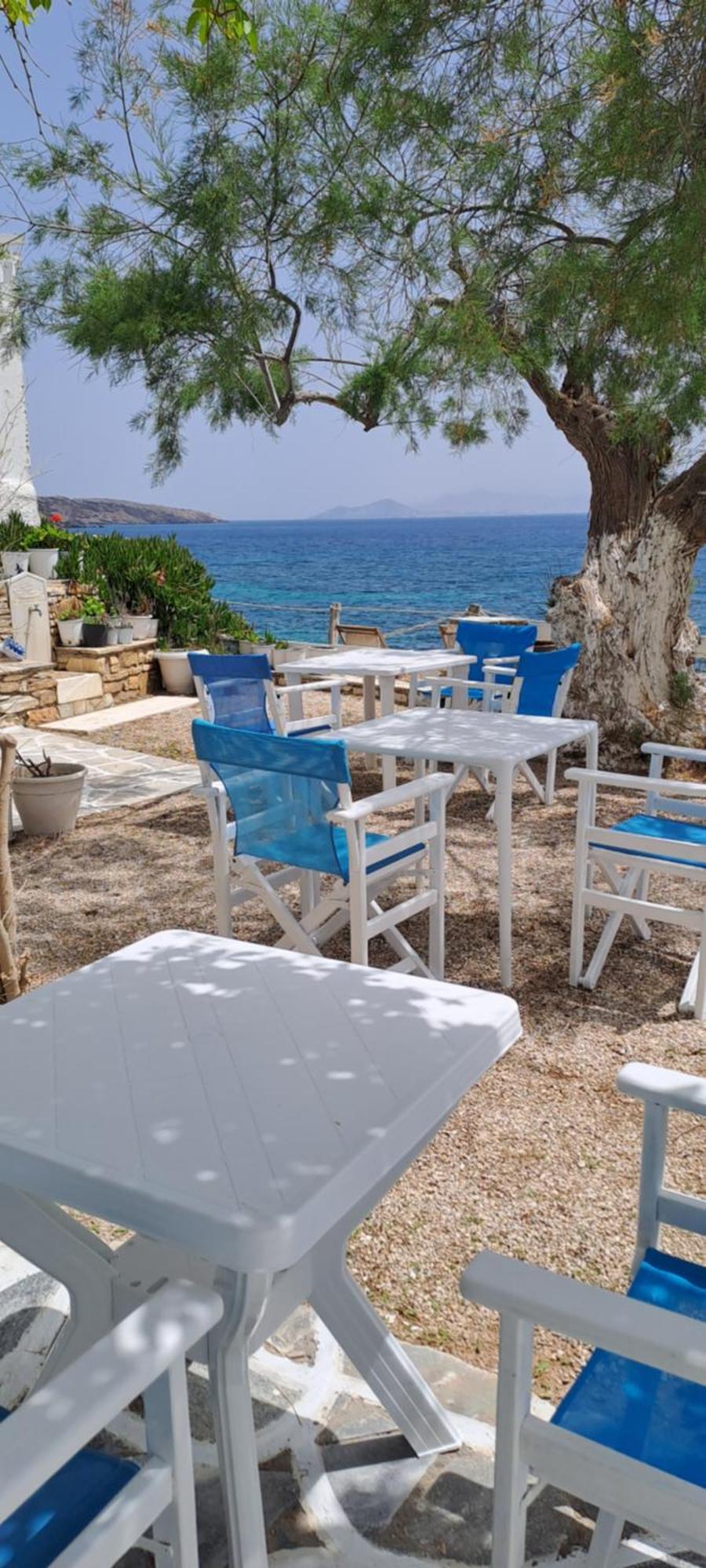 Dinas Inn بوسي لِفاذي المظهر الخارجي الصورة