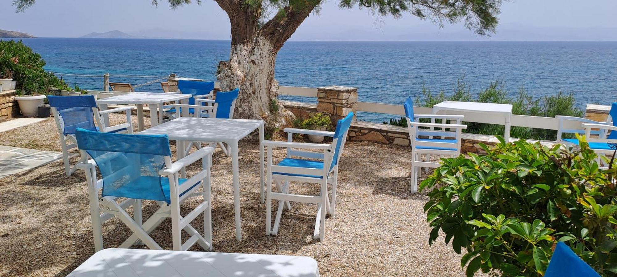 Dinas Inn بوسي لِفاذي المظهر الخارجي الصورة
