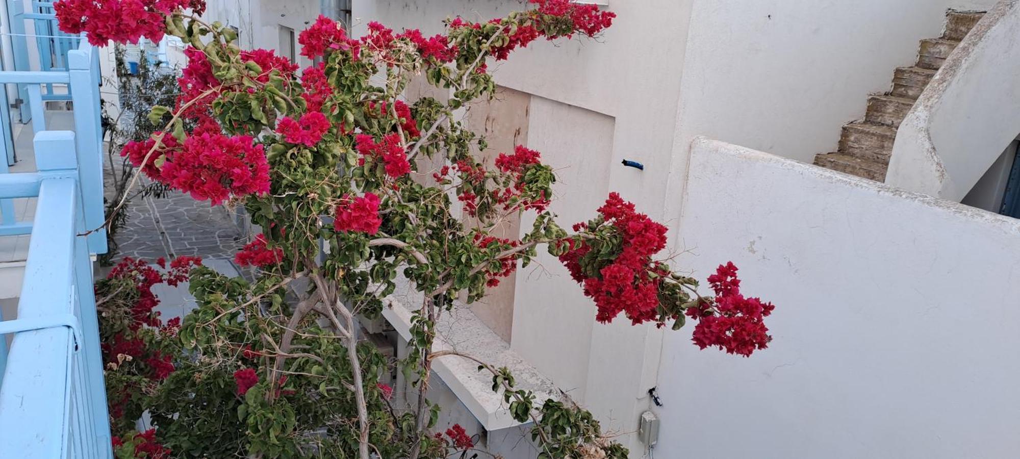 Dinas Inn بوسي لِفاذي المظهر الخارجي الصورة