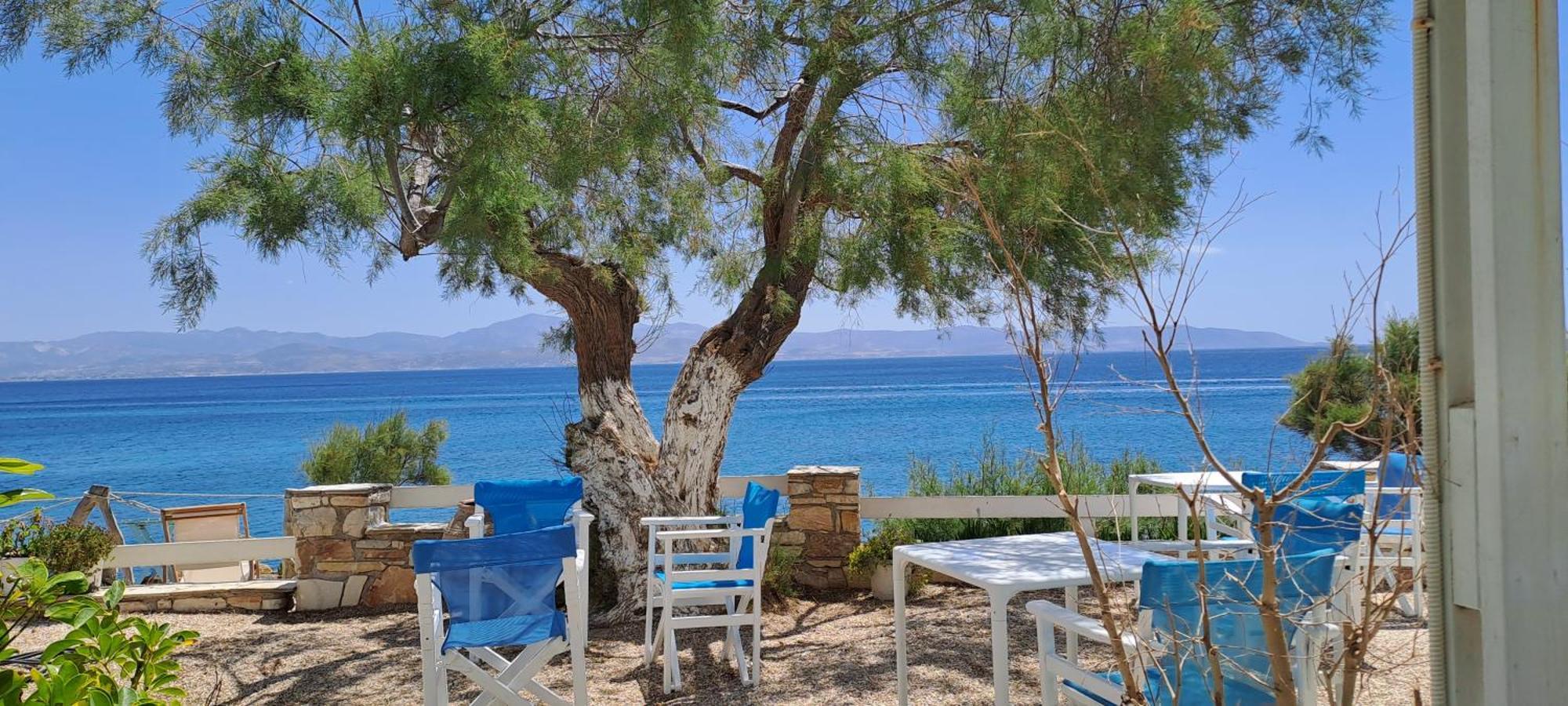 Dinas Inn بوسي لِفاذي المظهر الخارجي الصورة