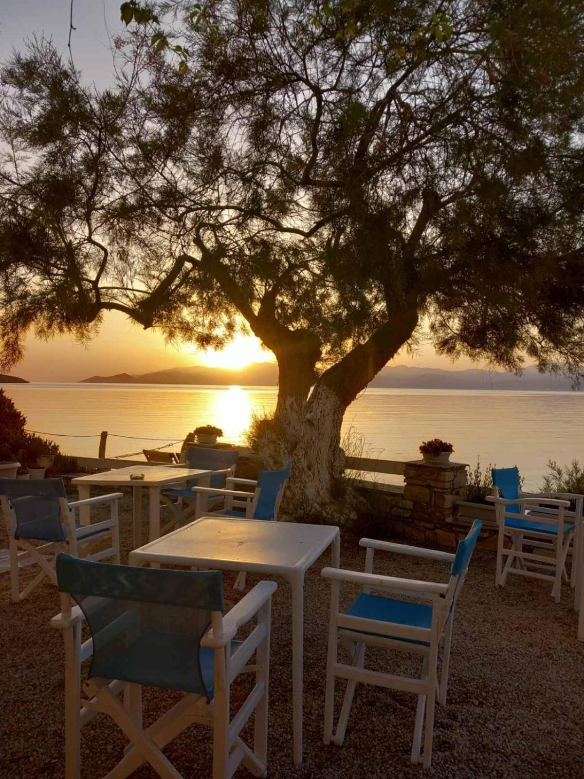 Dinas Inn بوسي لِفاذي المظهر الخارجي الصورة